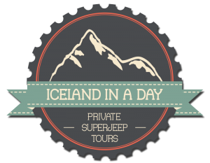 Iceland in a day Logo